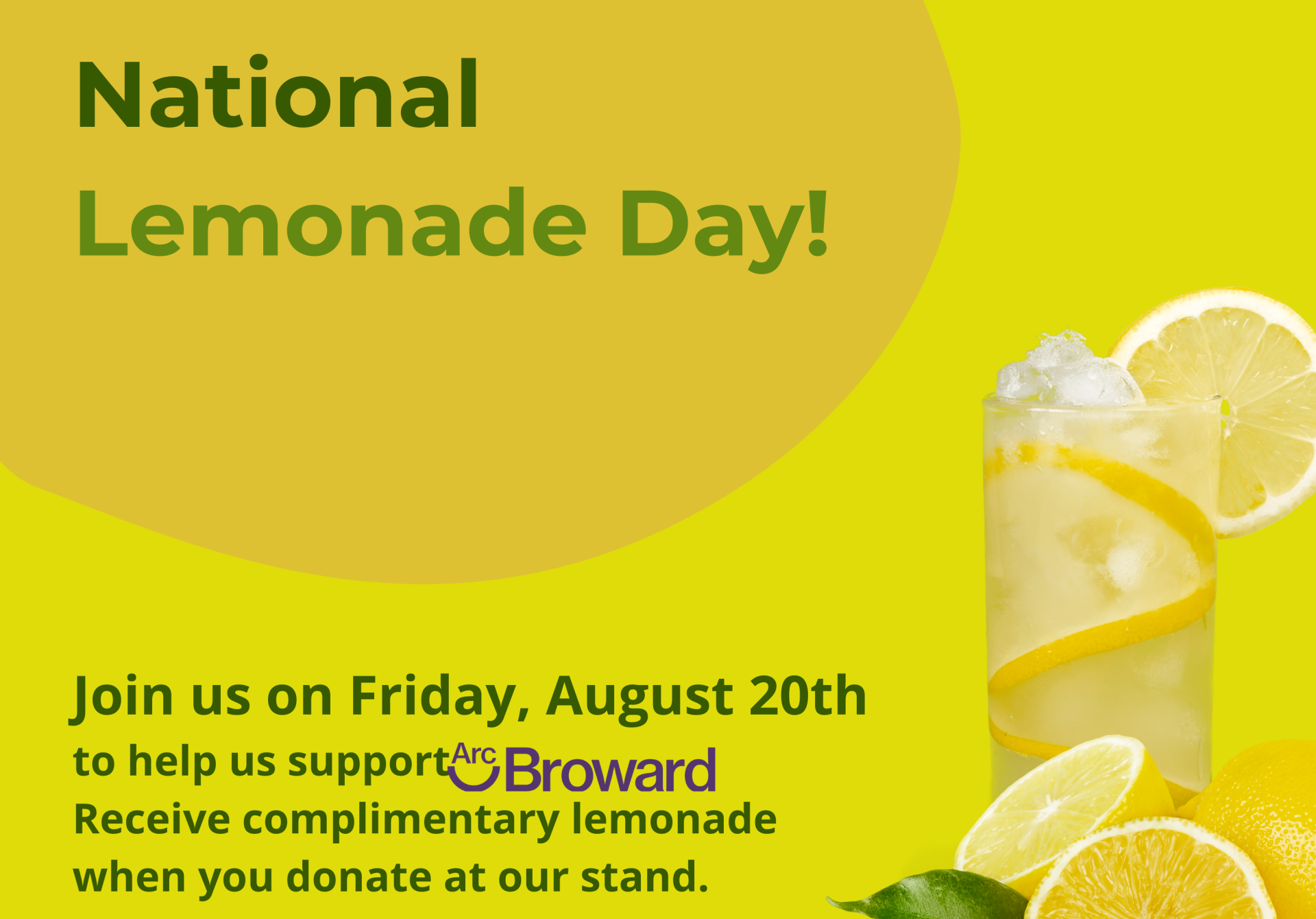 national lemonade day large
