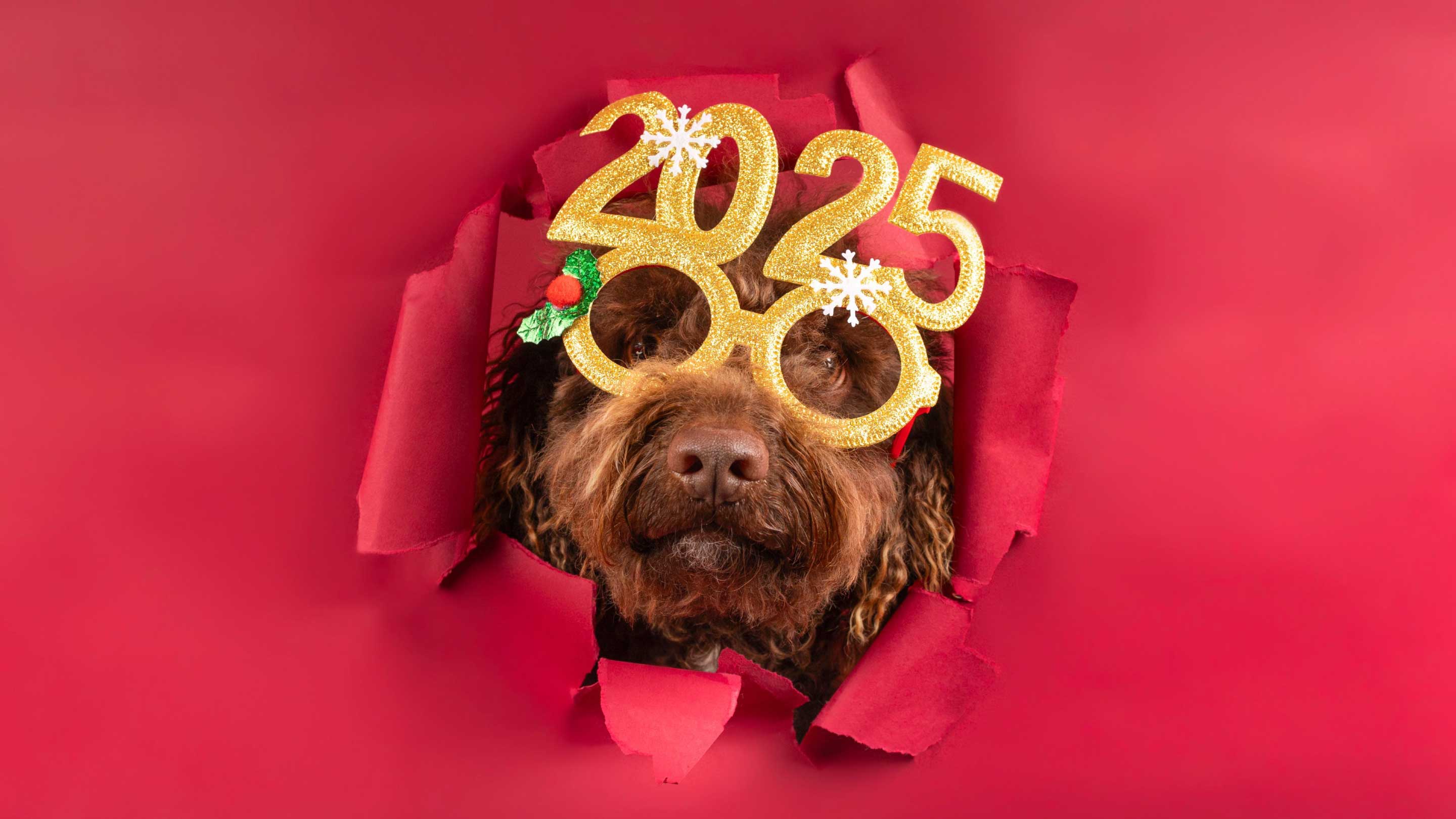 2025 Blog Photo Web Version